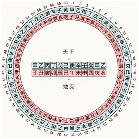 兔年天干地支|干支对照表